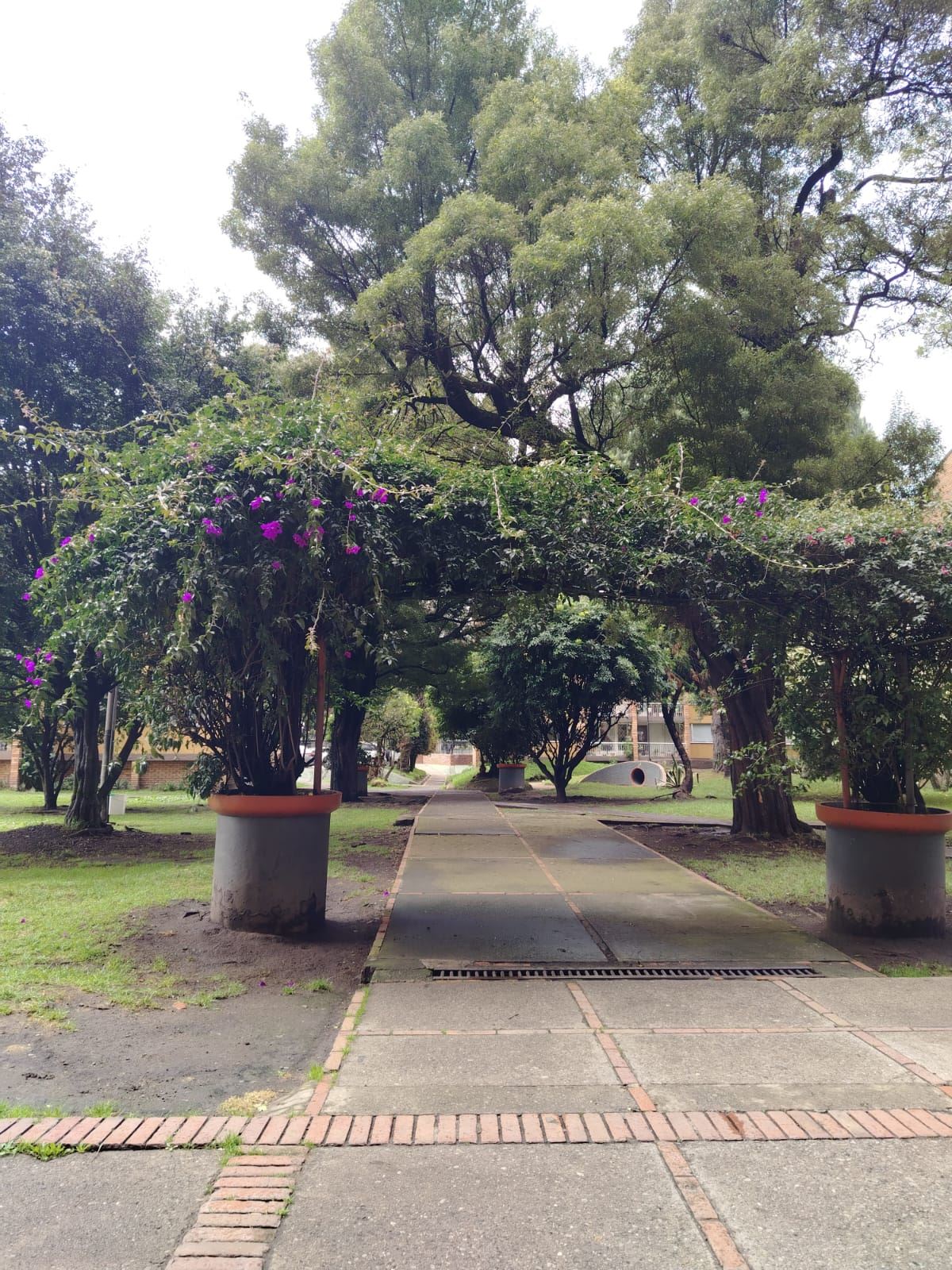 Apartamento en Venta - Bogota, COLSEGUROS 6083