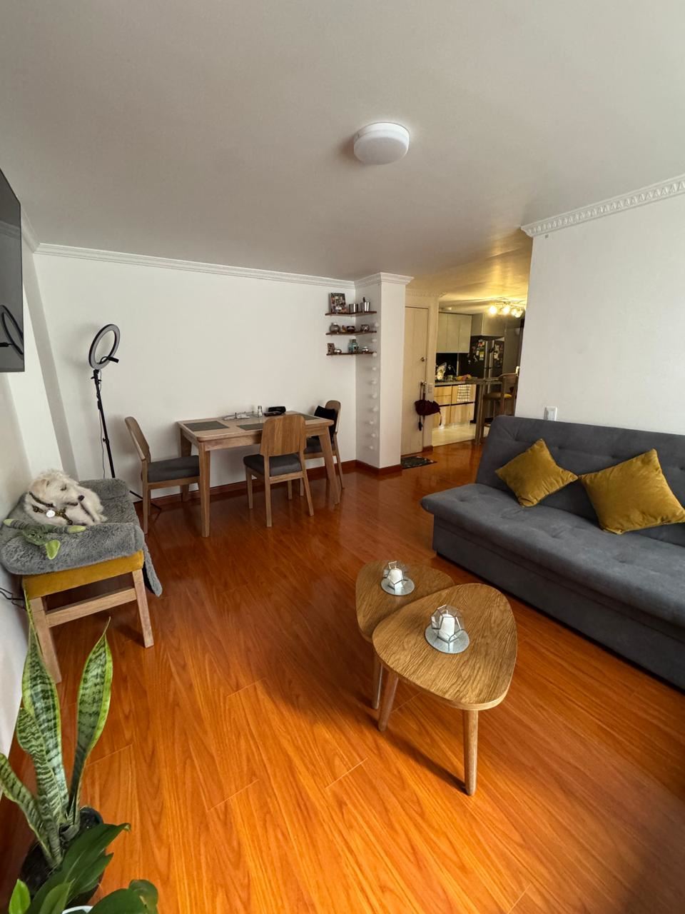 Apartamento en Venta - Bogota, CHAPINERO ALTO 4817