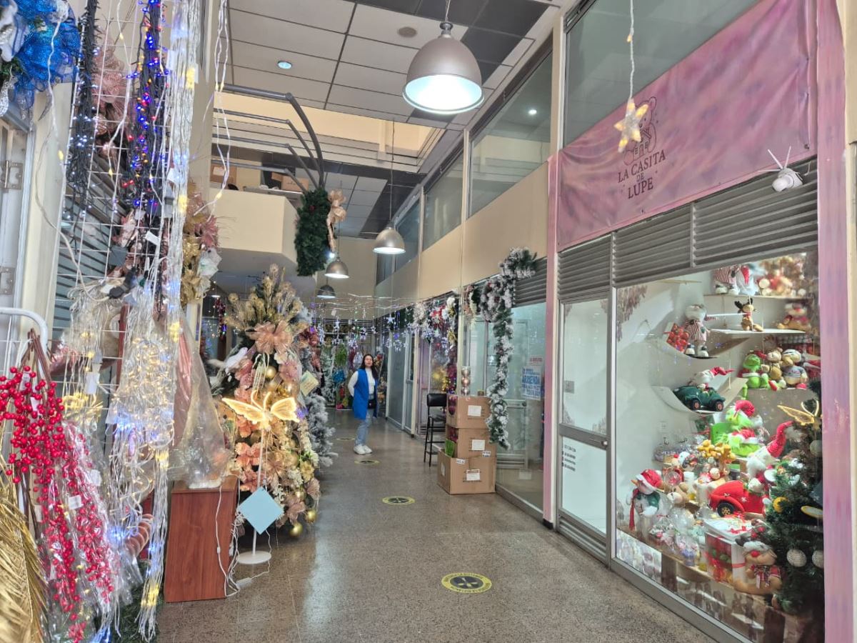 Local en Arriendo - Bogota, EL TOBERÍN 5305