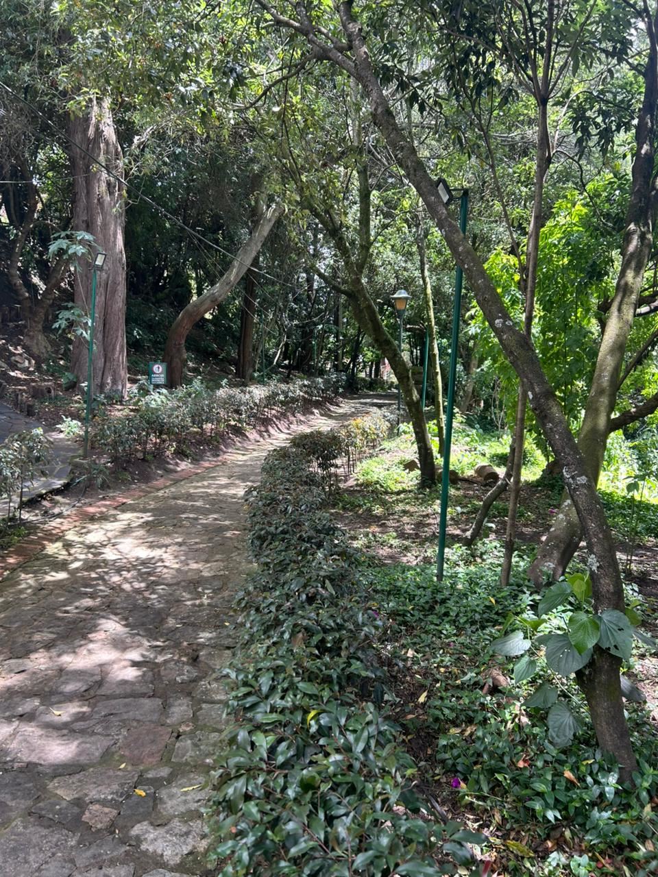 Apartamento en Venta - Bogota, BOSQUE DE PINOS 4523