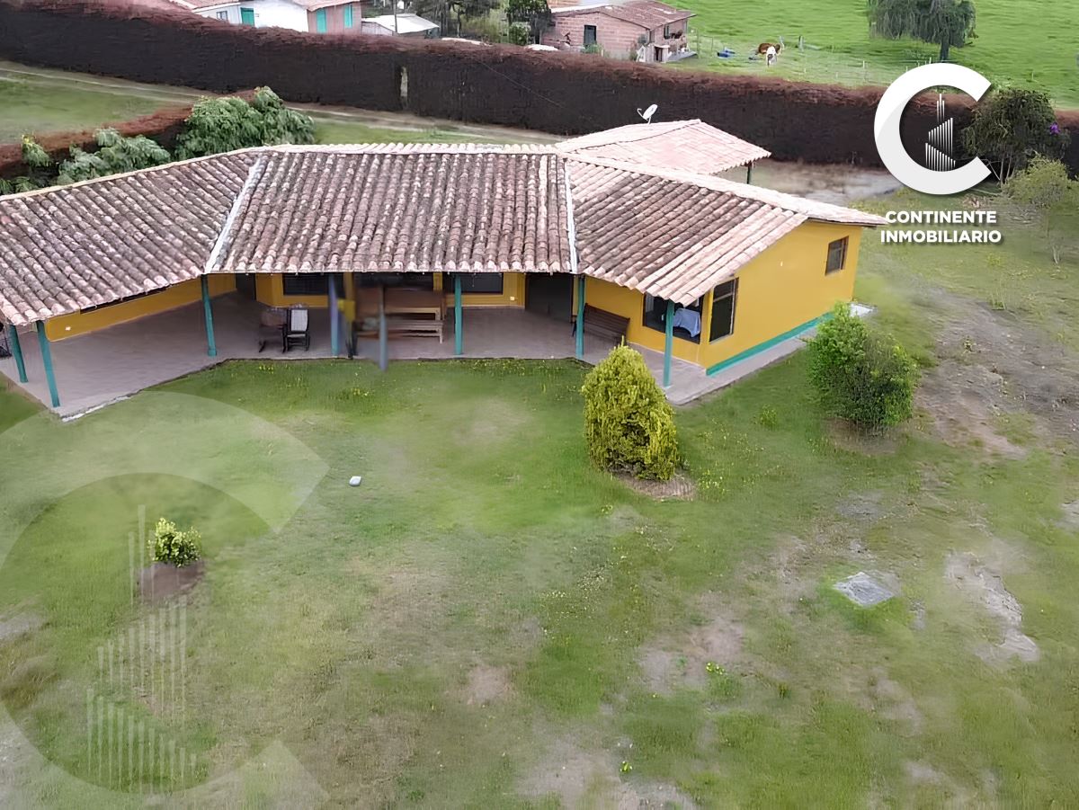 Miniatura {{@index}}