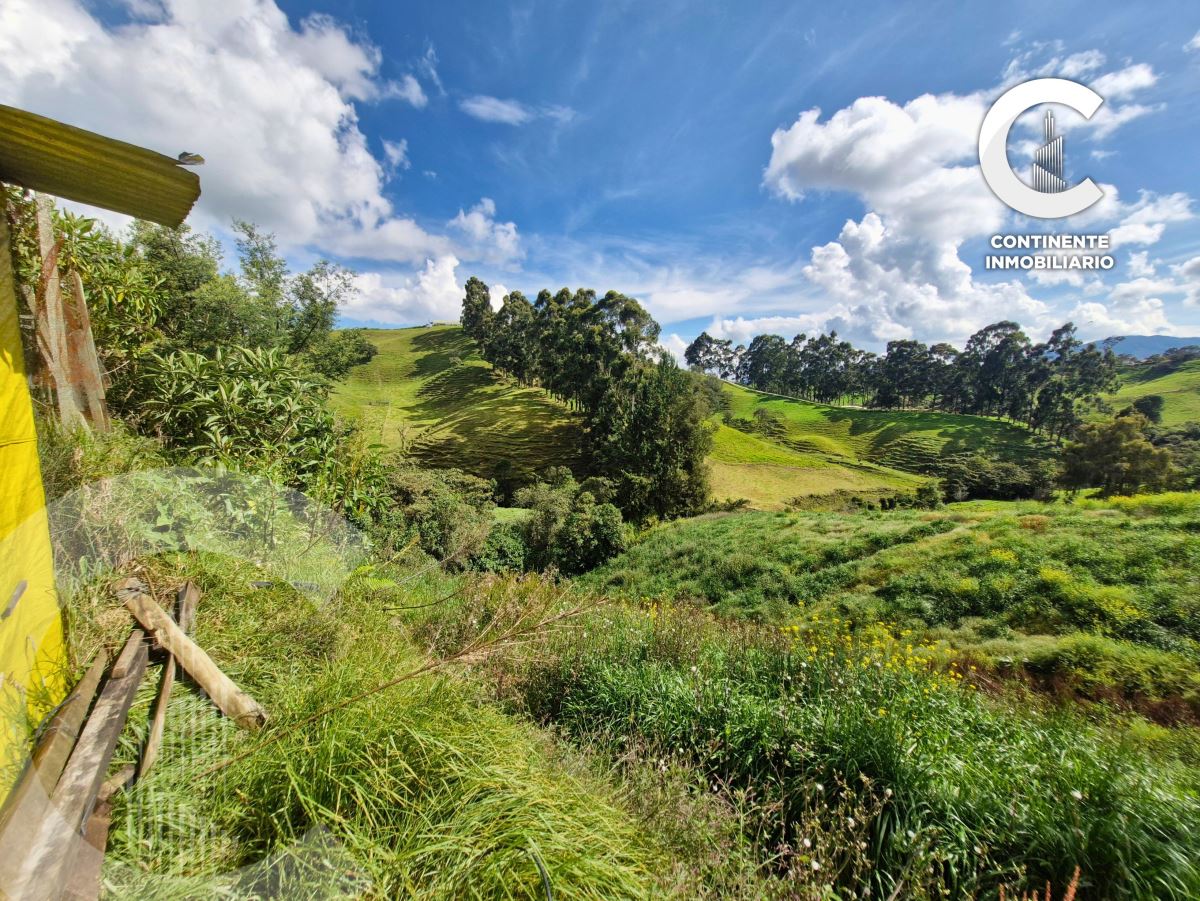 Miniatura {{@index}}