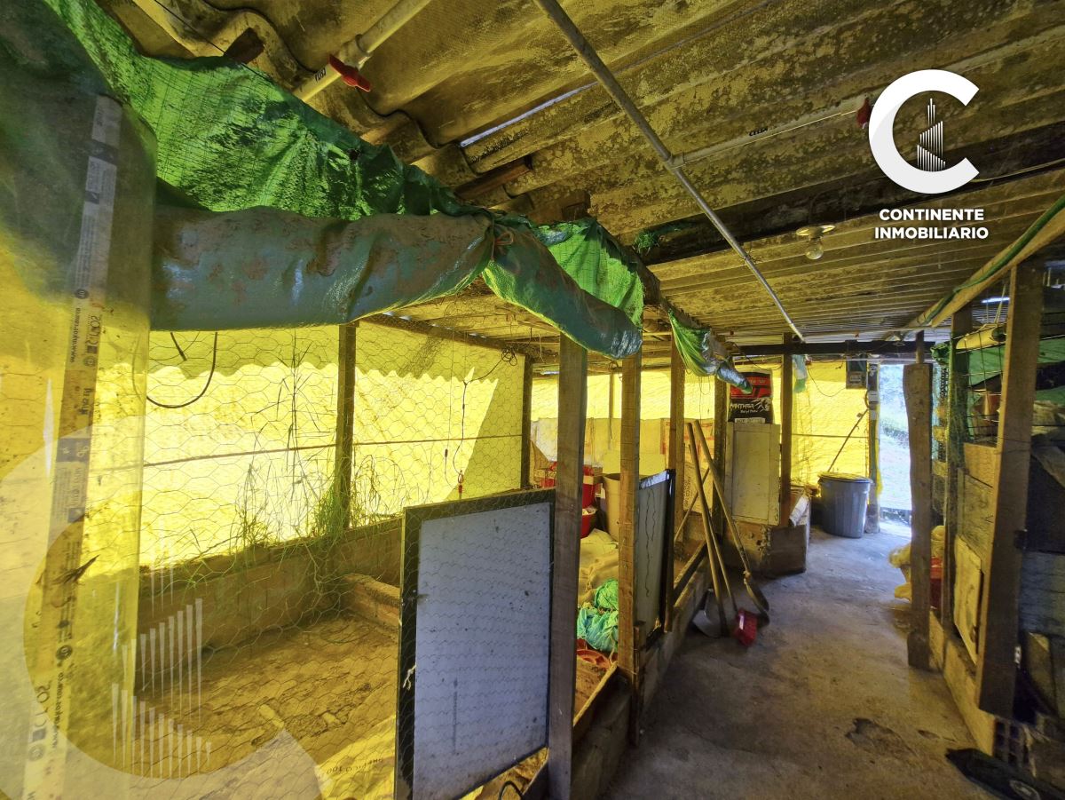 Miniatura {{@index}}