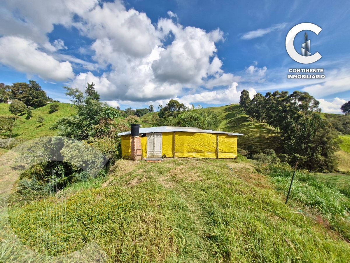 Miniatura {{@index}}