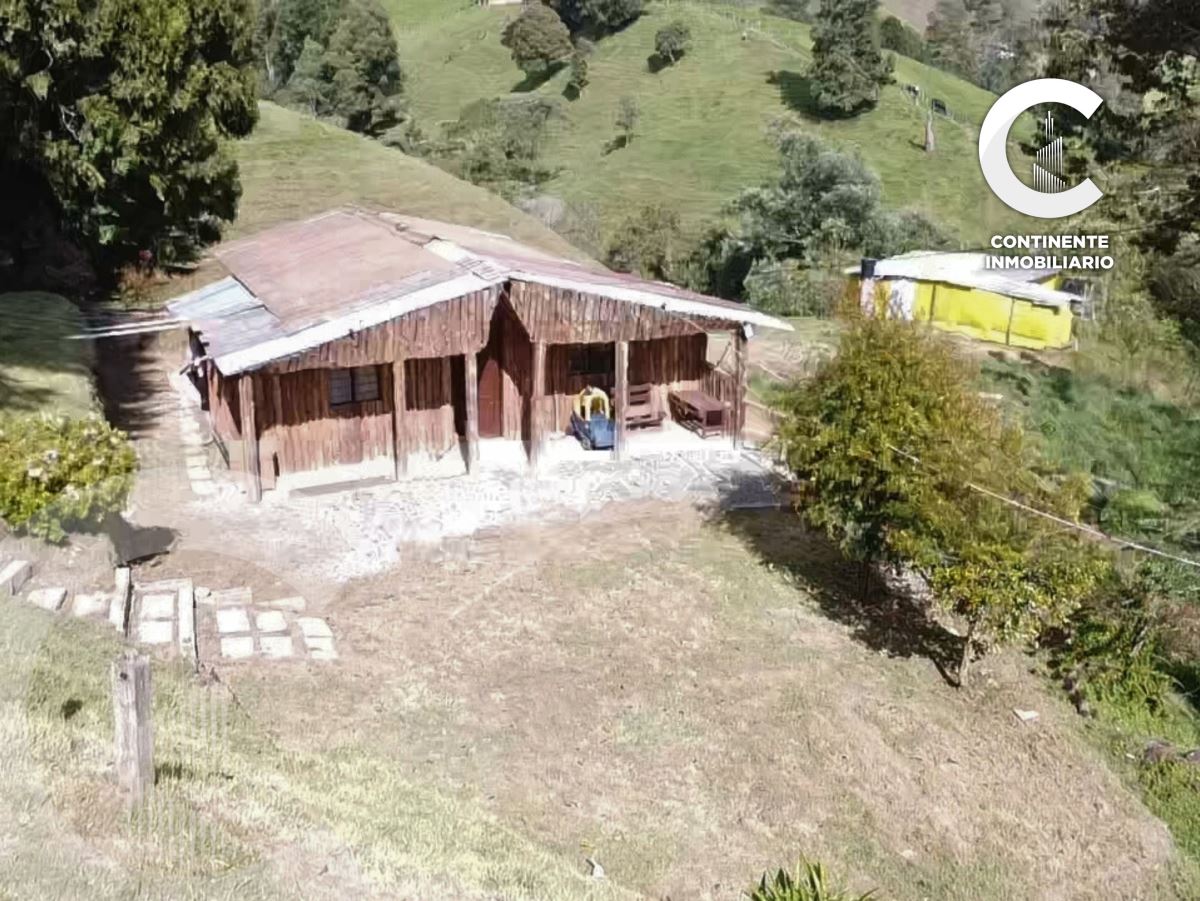 Miniatura {{@index}}