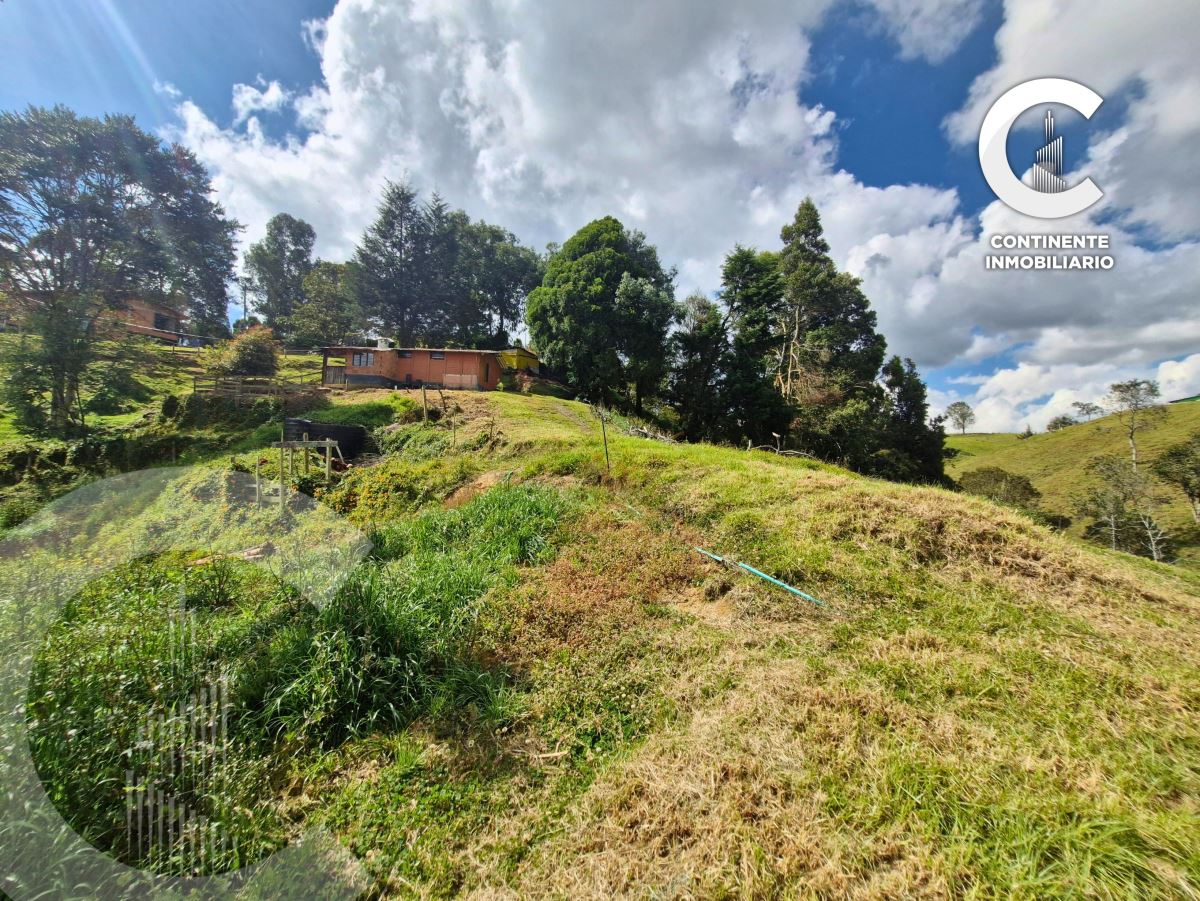 Miniatura {{@index}}