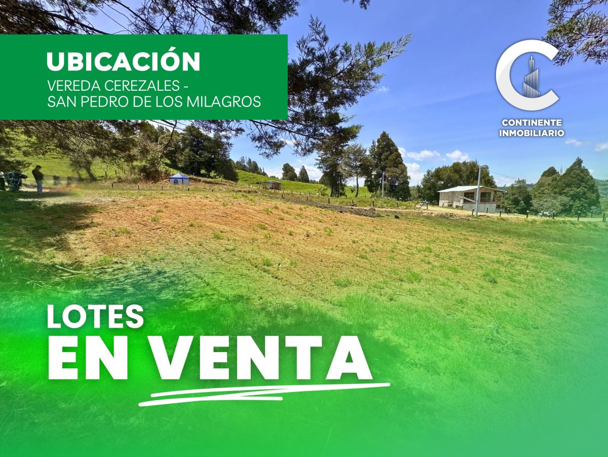 LOTE en Venta SAN PEDRO ANTIOQUIA CEREZALES
