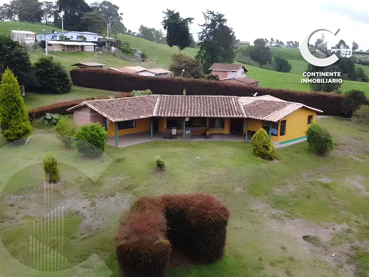 Miniatura {{@index}}