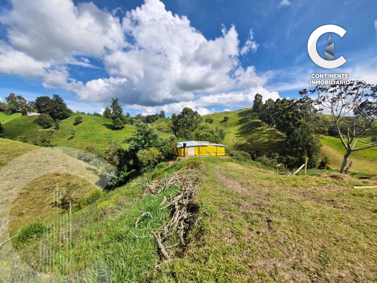 Miniatura {{@index}}