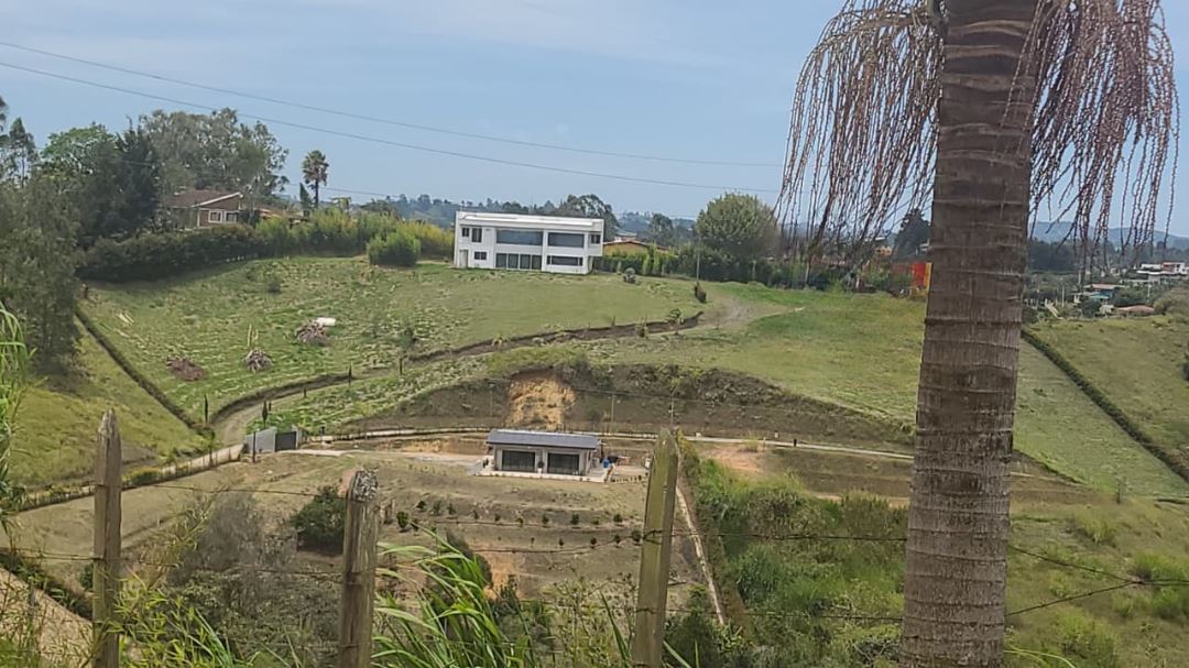 LOTE en 
